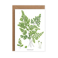  MAIDENHAIR FERN CARD
