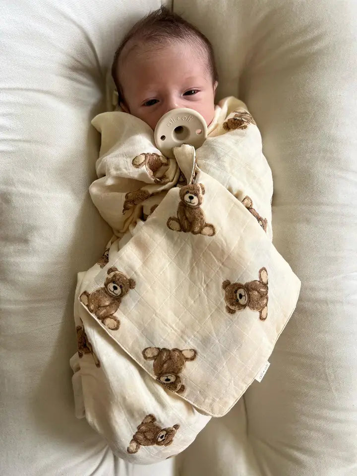  TEDDY PACIFIER BLANKET HOLDER