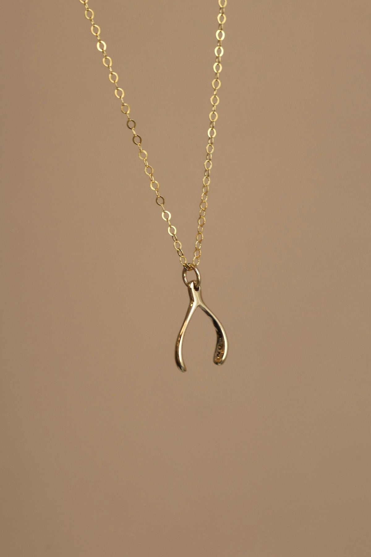  WISHBONE NECKLACE