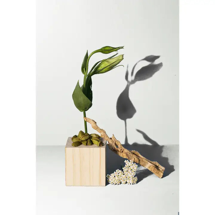  SANTAL REED DIFFUSER