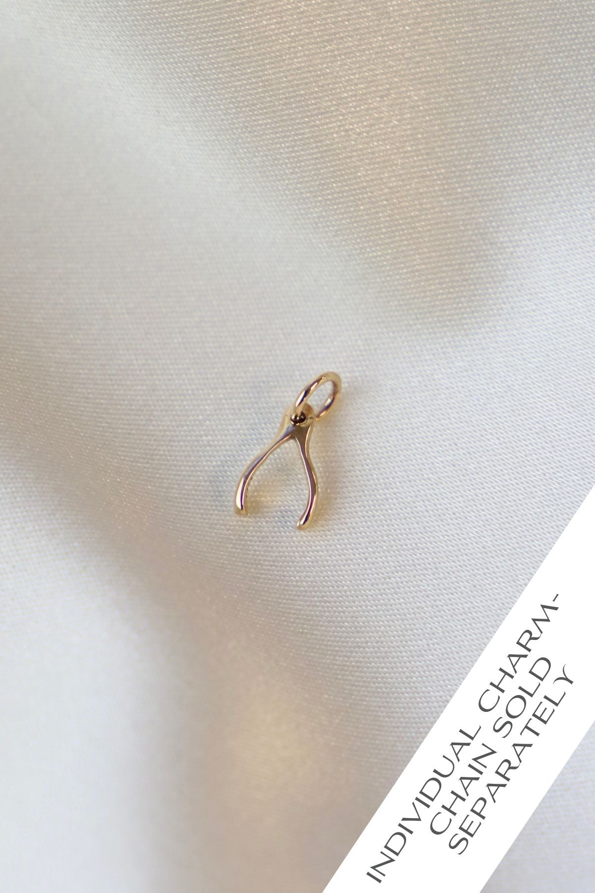  WISHBONE CHARM