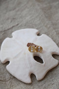  CLAM STUDS