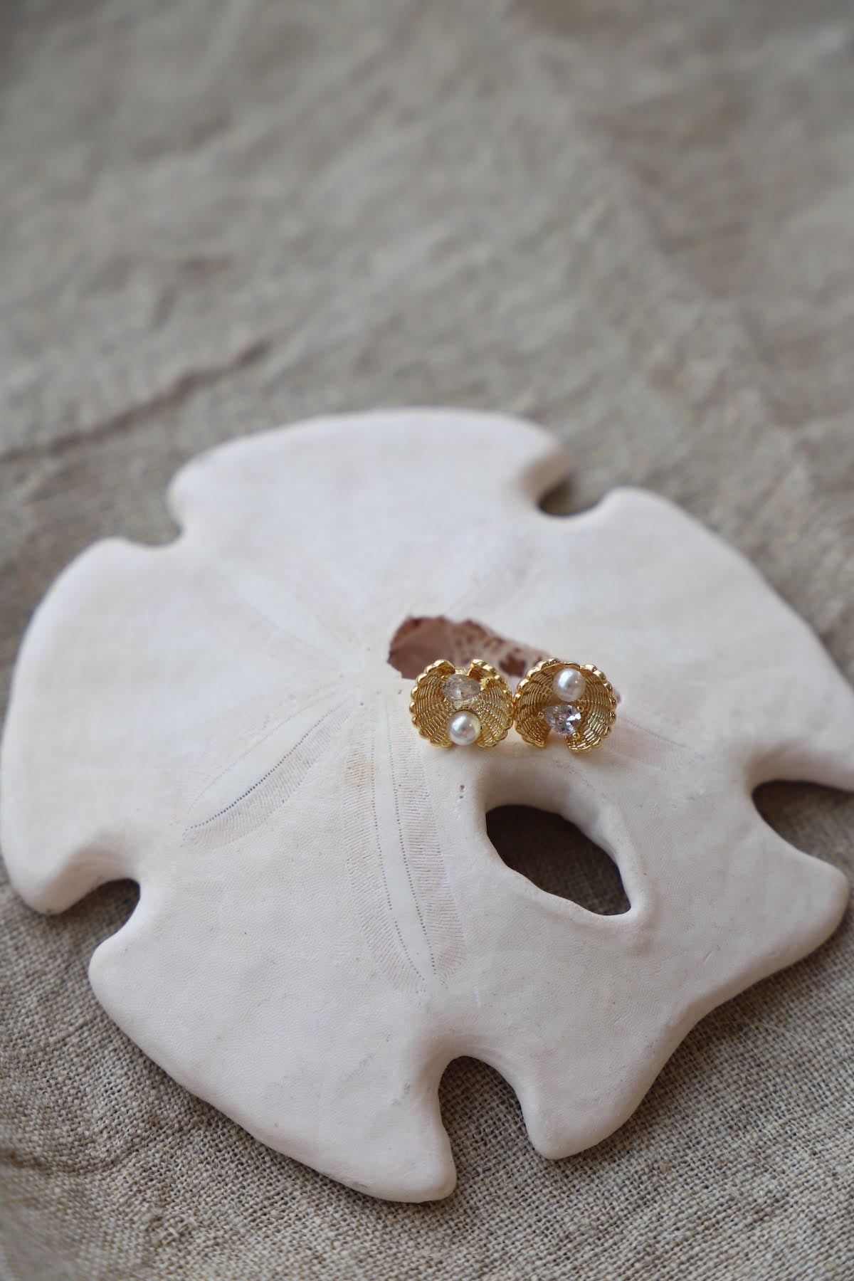  CLAM STUDS